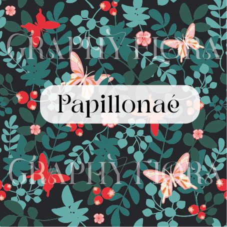 Papillonaé