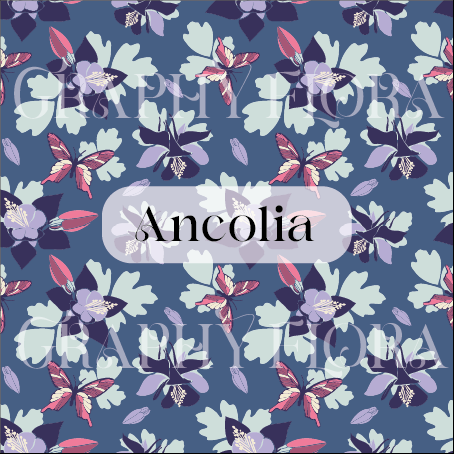 Ancolia